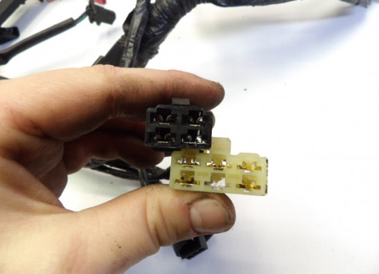 Wire Harness Honda CBR 600 F