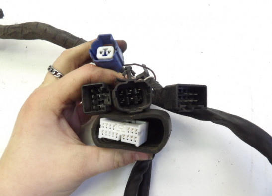 Wire Harness Suzuki GSF 650 Bandit