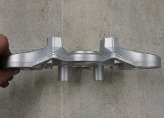 Gabelbrücke Obere BMW F 900 R