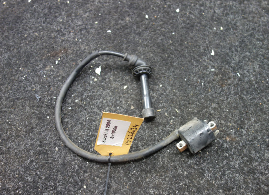 Zundspule Suzuki SV 1000