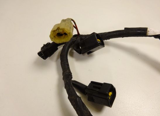 Kabelboom Yamaha YZF R6