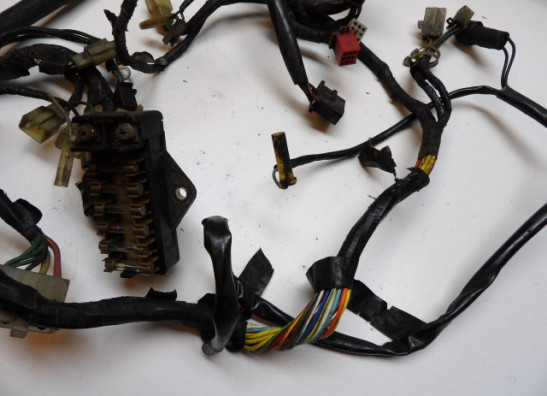 Wire Harness Honda Goldwing GL