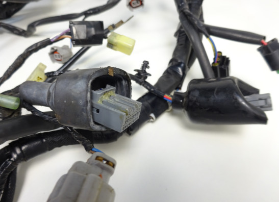 Kabelboom Kawasaki VERSYS 650