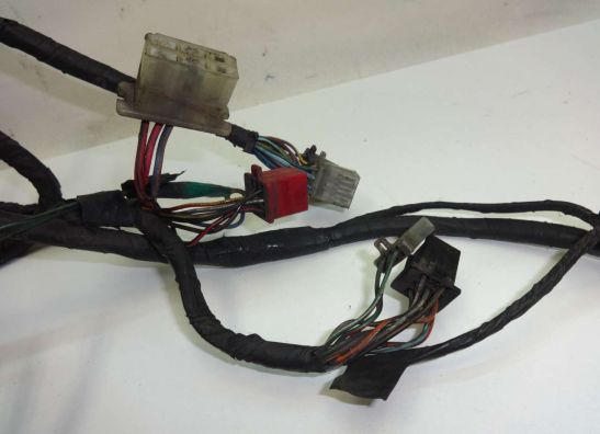 Kabelboom Honda PC 800