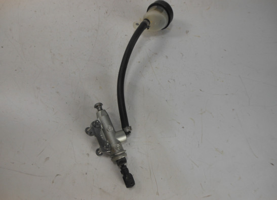 Rempomp achter BMW S 1000 R 2014-2016