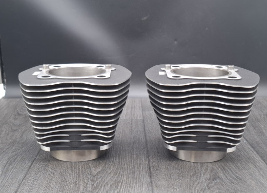 Cilinderblok Harley Davidson FLSTF Fat Boy