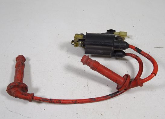 Ignition Coil Honda Overige Honda