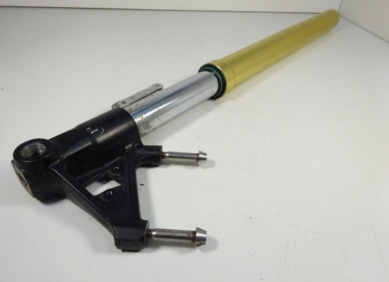 Front Fork left complete Triumph Tiger 1050