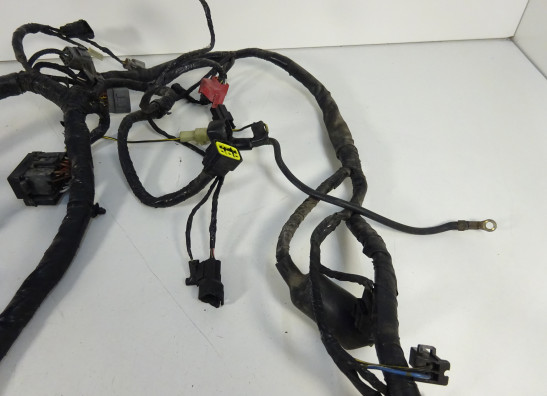 Wire Harness Kawasaki ER 6