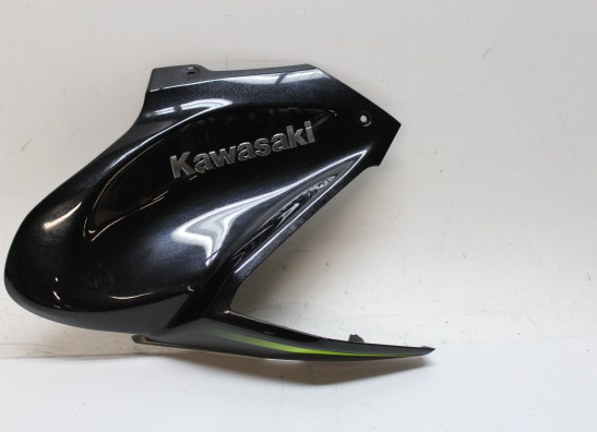 Tankcover Kawasaki Z 900
