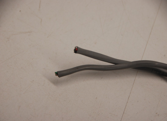 Blinker Harley Davidson Softtail