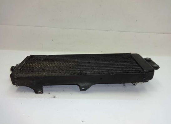 Kuhler Suzuki VX 800