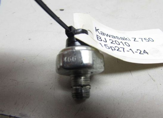 Motorblok diverse Kawasaki Z 750