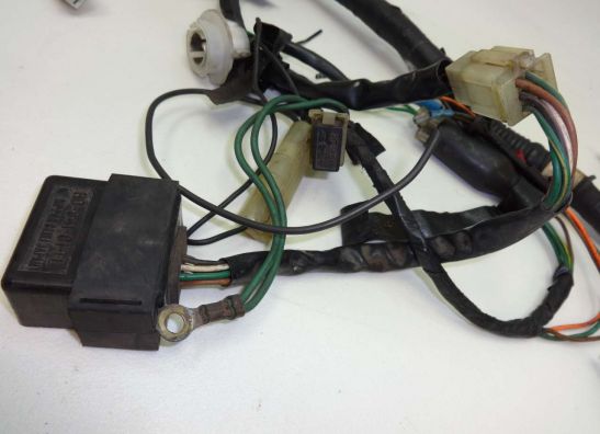 Kabelboom Honda VT 500