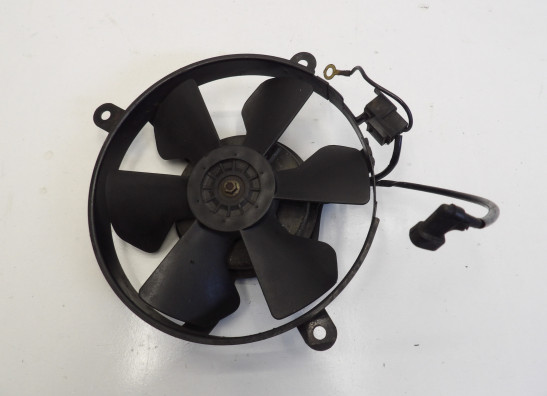 Fan Honda CBR 900 RR