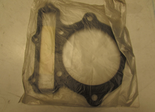 Bremsbeläge Yamaha FZR 600