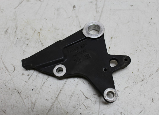 Achter remklauw Triumph Tiger 1050