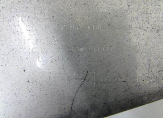 Auspuff Kawasaki Z 1000