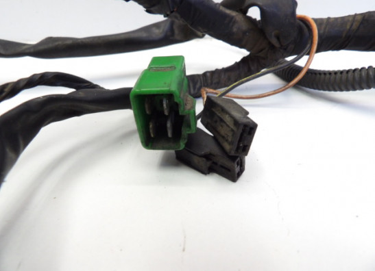 Wire Harness Suzuki RF 900