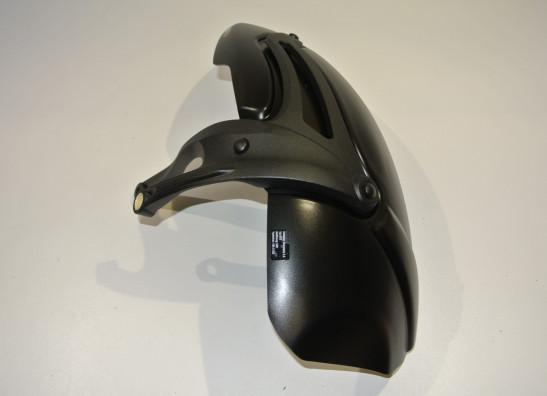 Hinterradabdeckung BMW R 1200 R