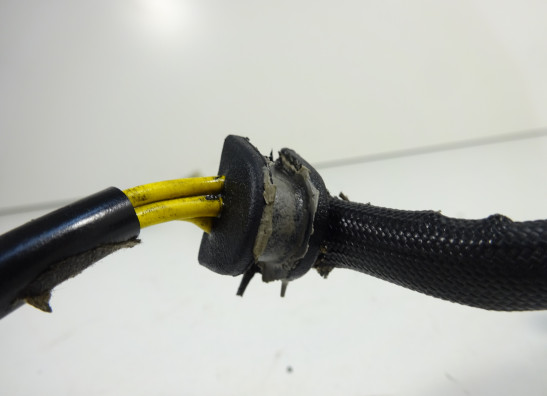 Dynamo Ducati monster 600