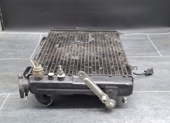 Radiator Yamaha FZR 1000