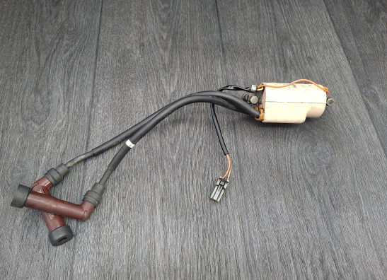 Bobine Suzuki GS 850