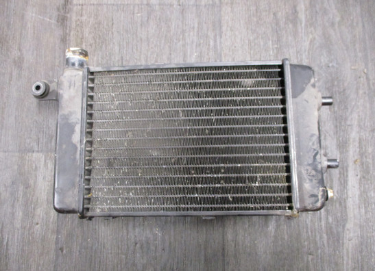 Kuhler Aprilia RSV 1000