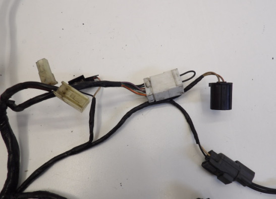 Kabelboom Triumph Trophy 900