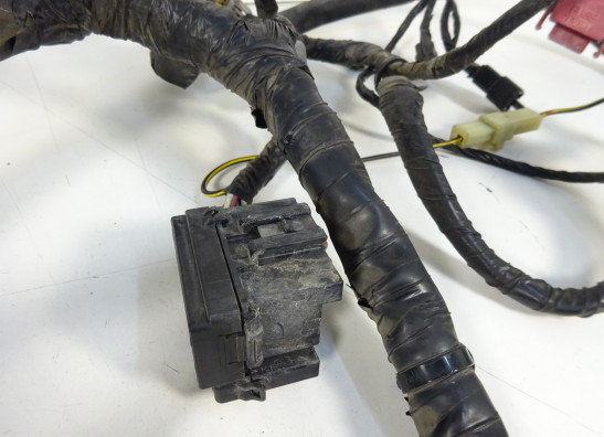 Wire Harness Kawasaki ER 6