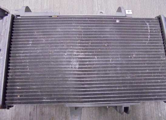 Radiateur BMW F 800 GT