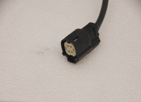 Uitlaat Harley Davidson Softtail