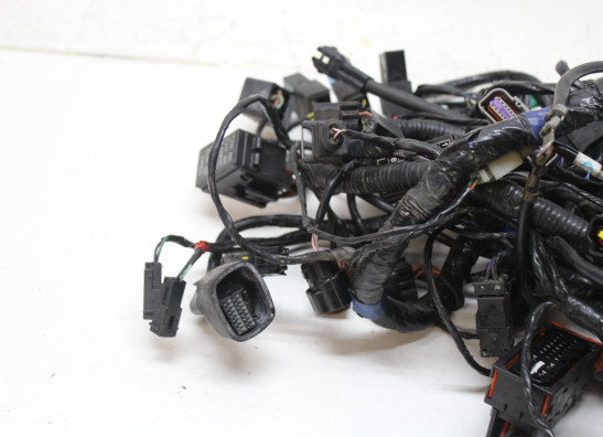 Kabelboom Triumph Sprint GT 1050