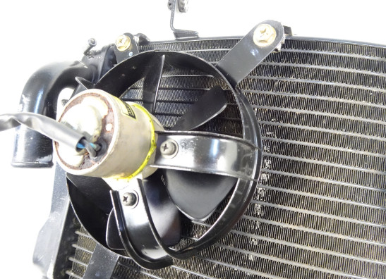 Radiator Ducati 749  999