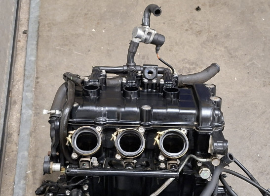 Motorblok Triumph Tiger 1050