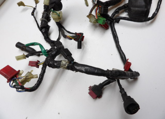 Kabelboom Honda CBR 600 F