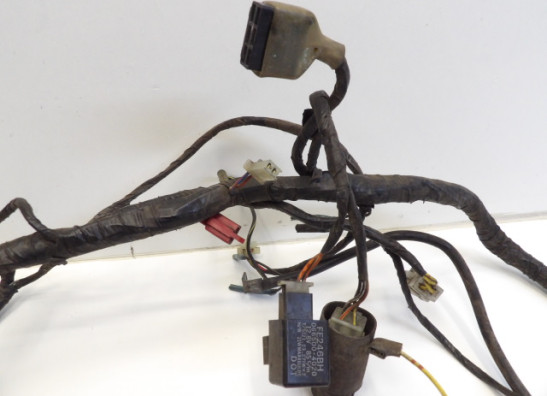 Kabelboom Kawasaki ER 5