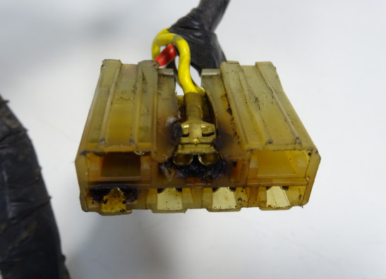 Kabelbaum Honda CBR 1000 F