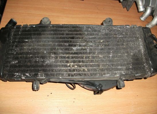 Radiator Honda CBR 600 F