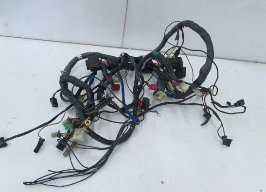Wire Harness Kawasaki ZZR 1100