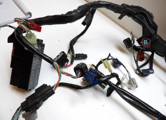 Kabelboom Honda CBR Fireblade