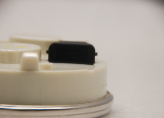 Teller Harley Davidson Softtail