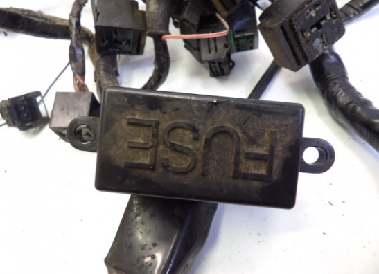 Kabelbaum Triumph Sprint RS