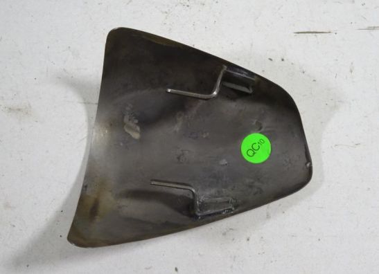 Auspuff Triumph Speed Triple 1050