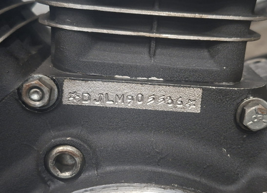 Motorblok Harley Davidson Softtail