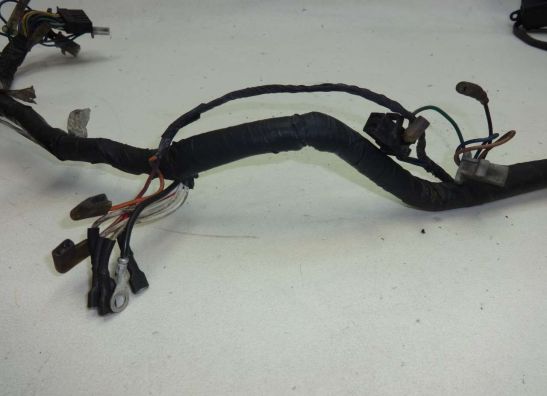 Wire Harness Yamaha TDM