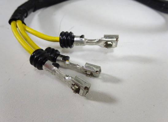 Lichtmaschine Ducati Monster 1200