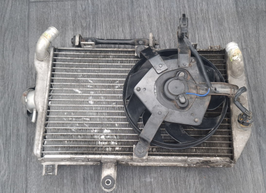 Radiateur Suzuki Burgman 650
