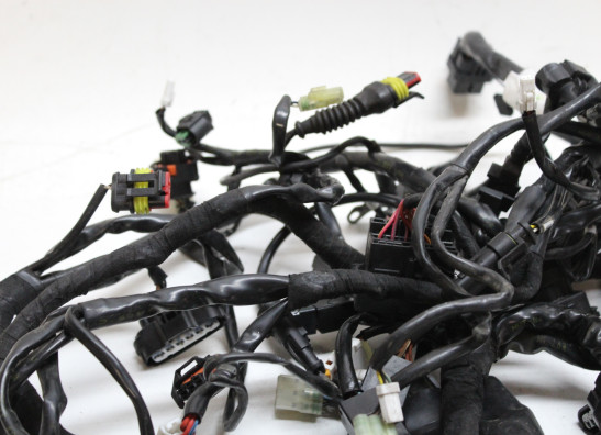 Wire Harness Ducati Multistrada 1200