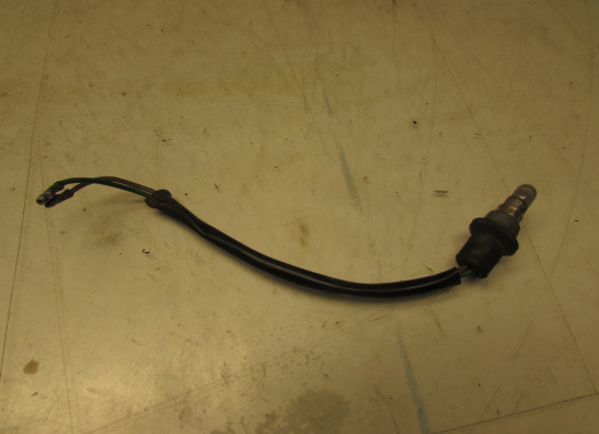 Sonstiges Honda Goldwing GL